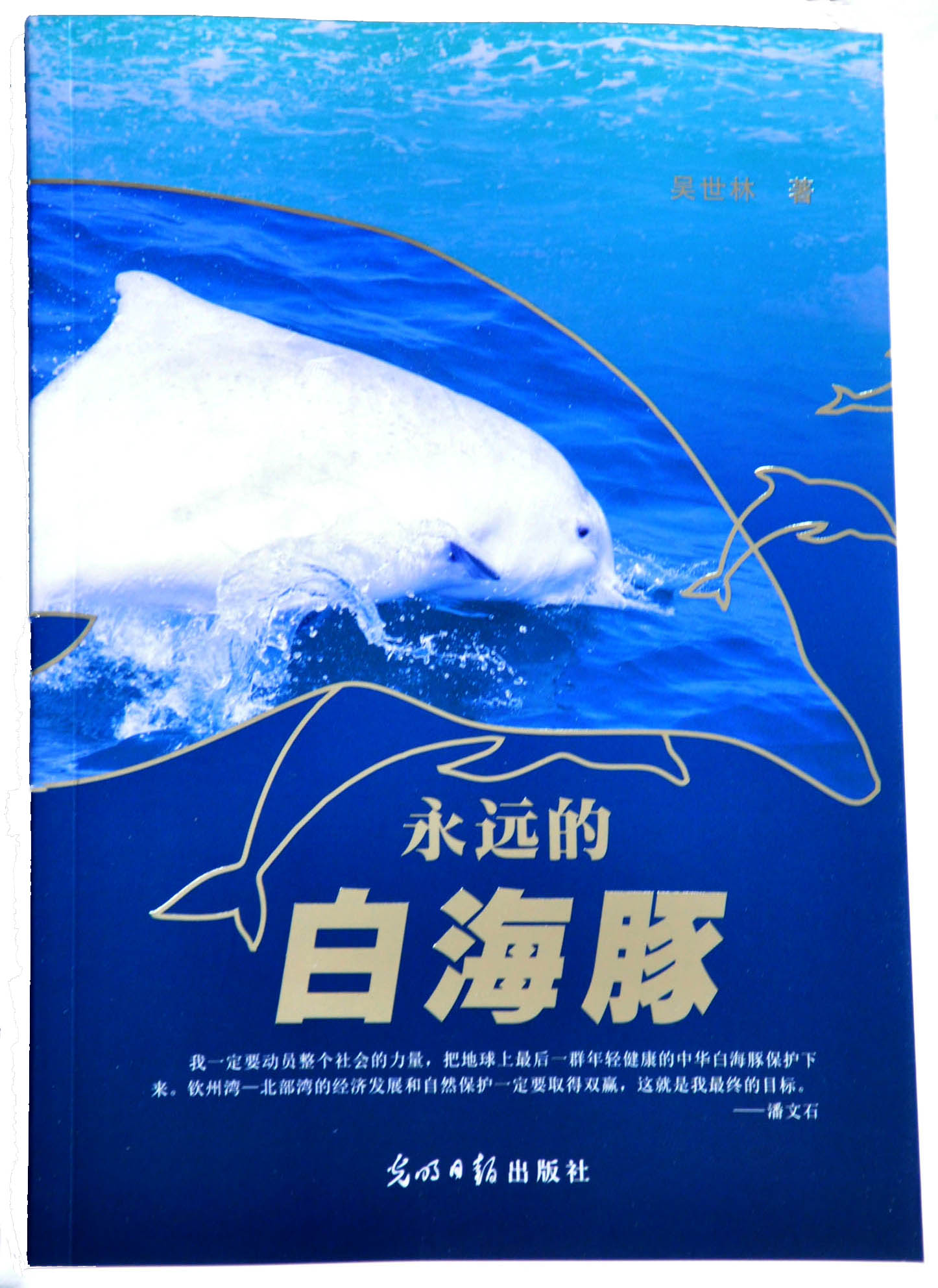 永遠的白海豚1(?。?jpg